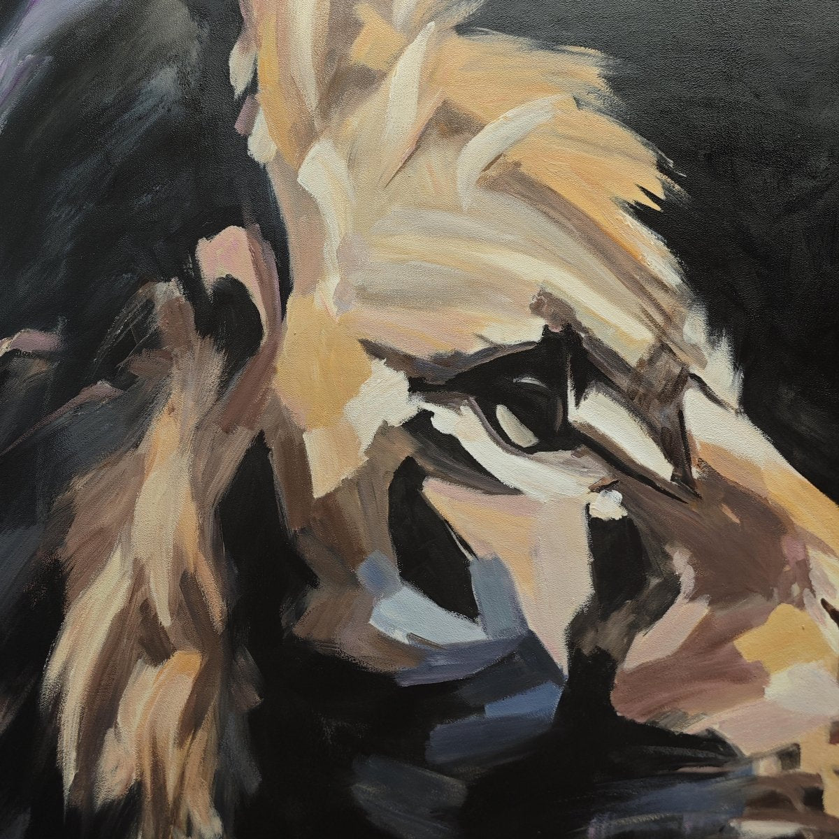 A Lion's Gaze - Image 6