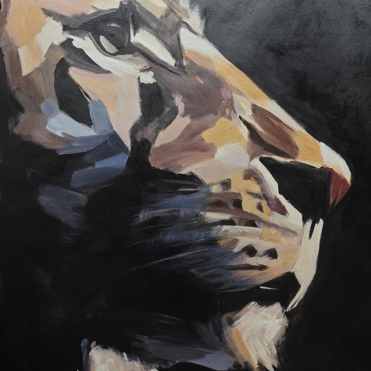 A Lion's Gaze - Image 7