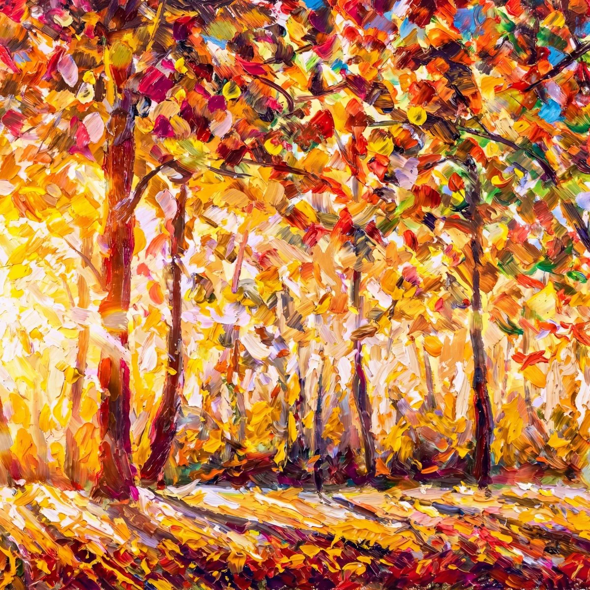 Autumn Sunrise - Image 8