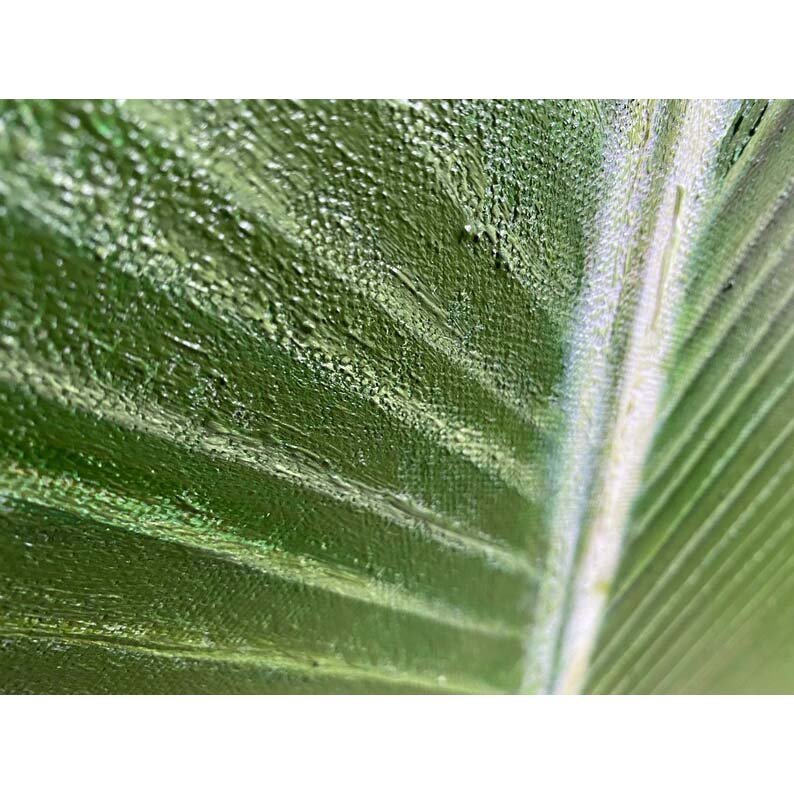 Banana Leaf - Image 7