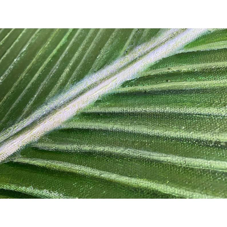 Banana Leaf - Image 8