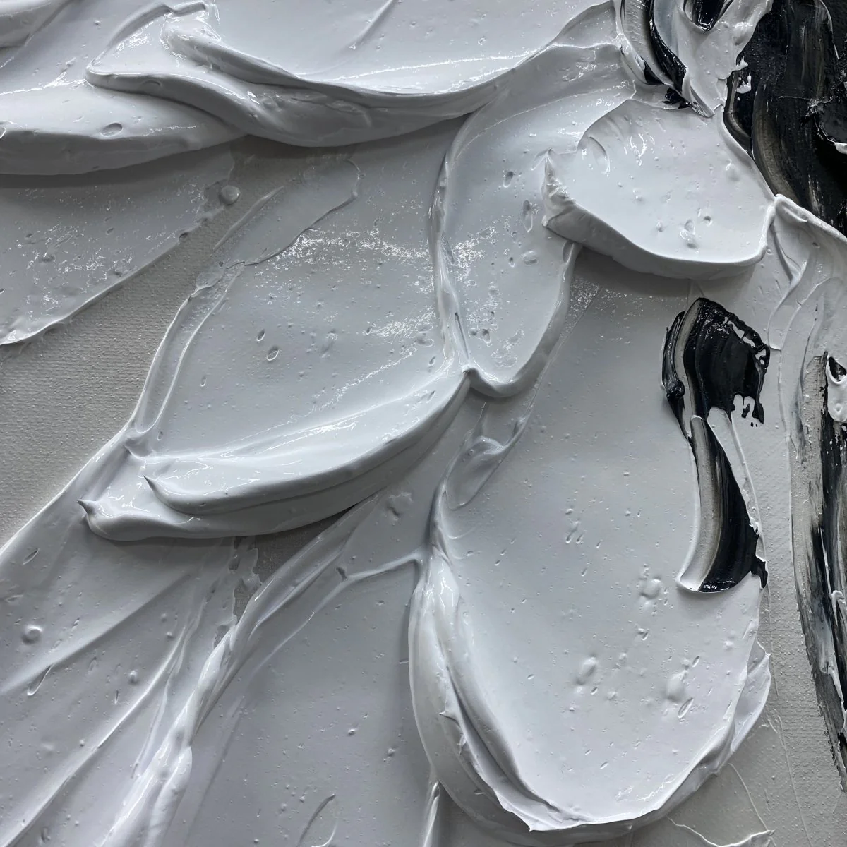 Collision of Contrast - Image 7