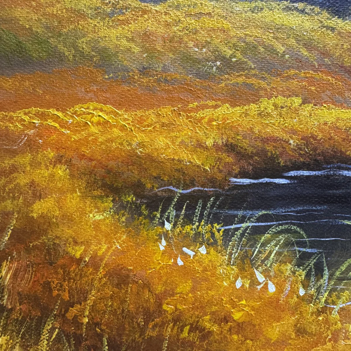Colorado Highlands - Image 7