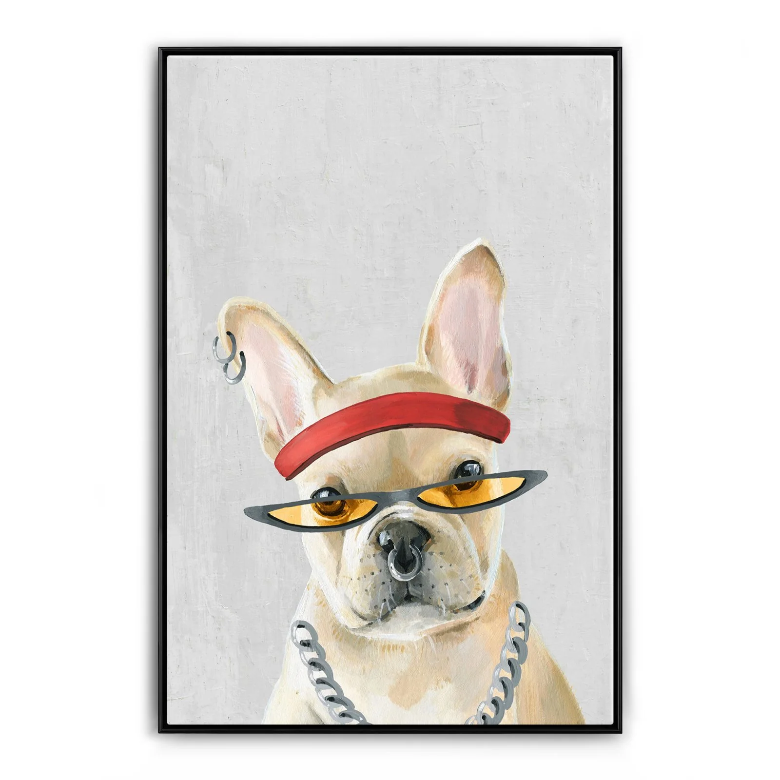 Dingo - Image 7
