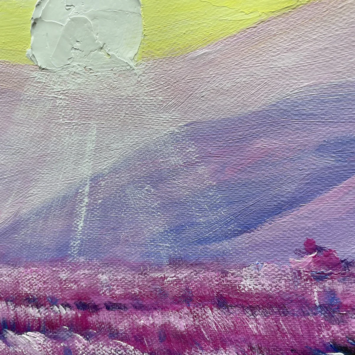Lavender Fields - Image 9