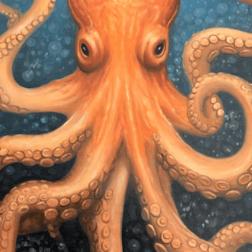 Octo - Image 6