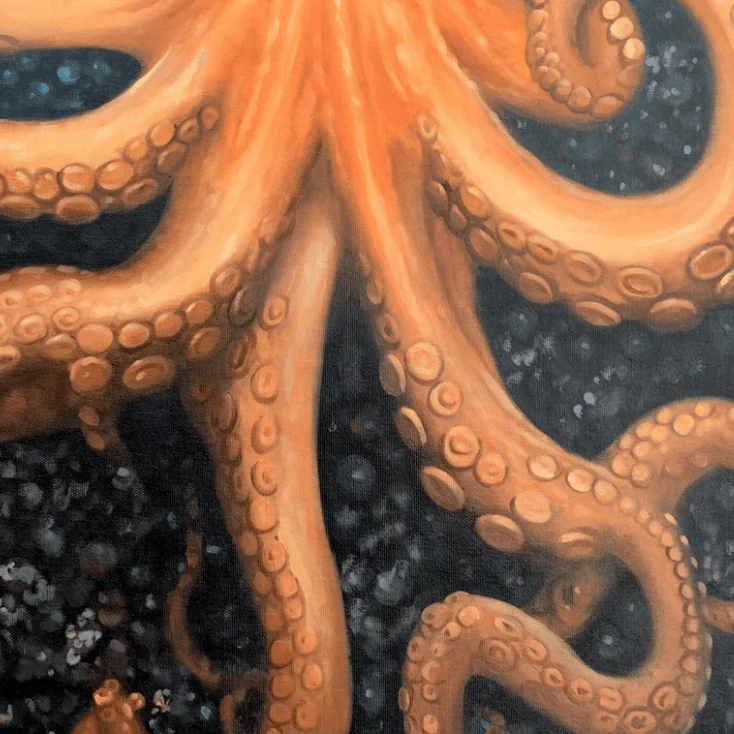Octo - Image 7