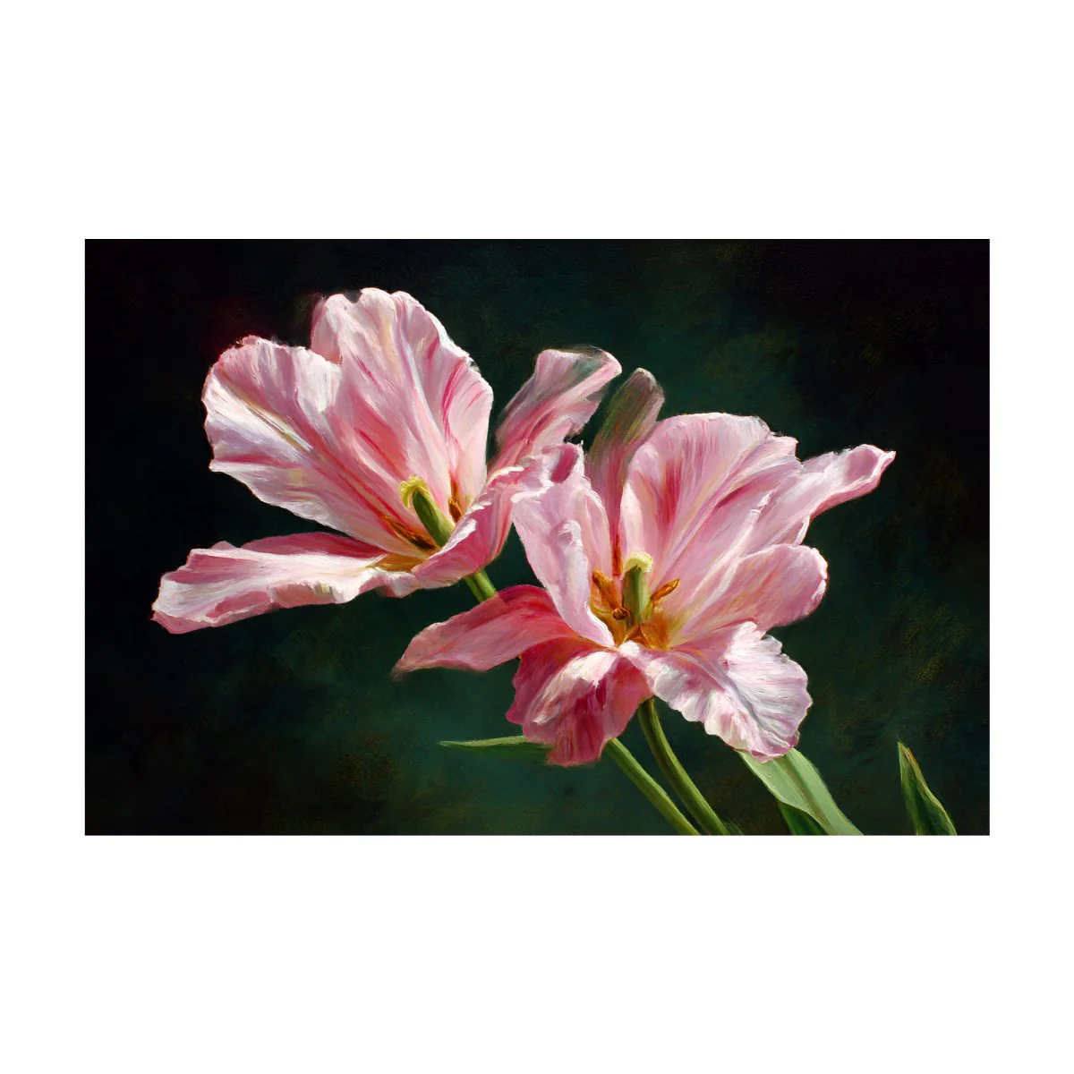 Pink Rain Lilies - Image 7