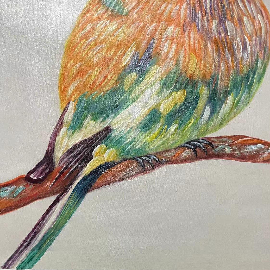 The Beautiful Robin - Image 7