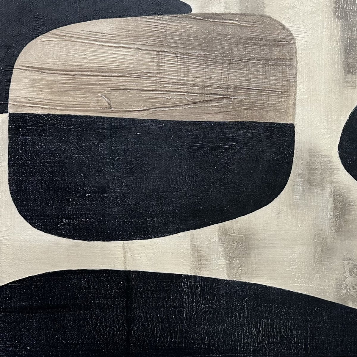 The Patterns - Image 7