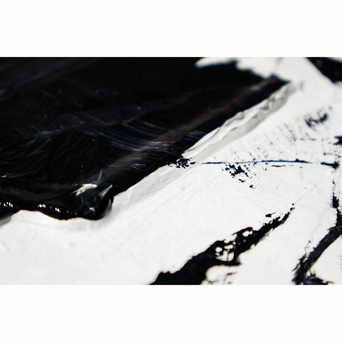 The Spectacle - Image 9