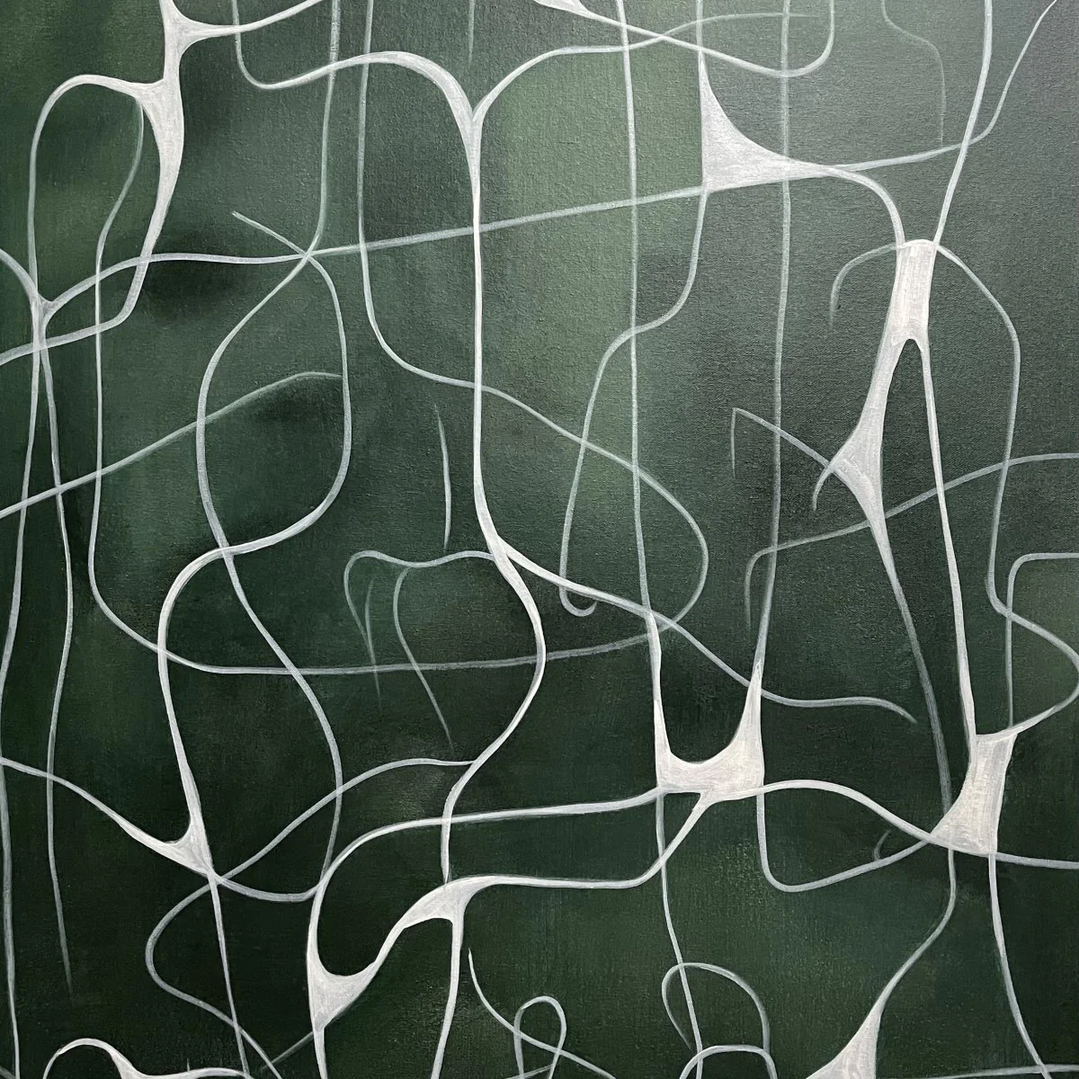 The Web - Image 6