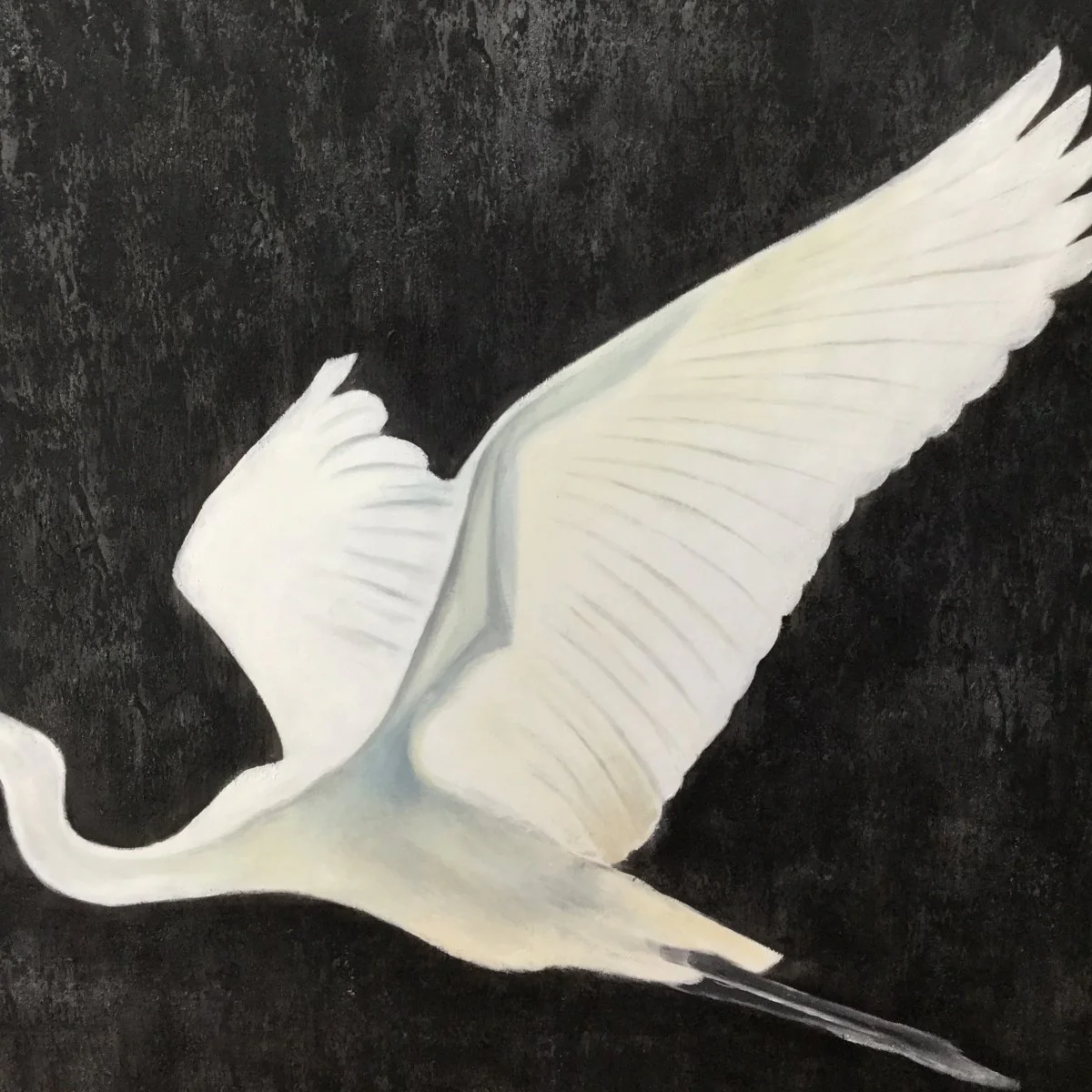 The White Egret - Image 8